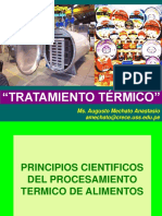 Tratamiento Térmico PDF