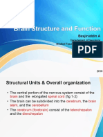 Fungsi Serebral