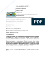 CASO JUGUETERIA GEPETTO.pdf