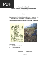 Thesis Severin Yacon