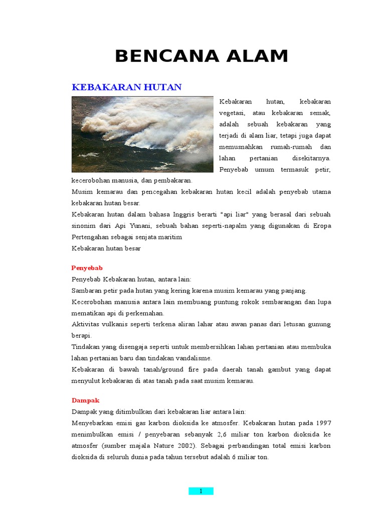 MAKALAH BENCANA ALAM.doc