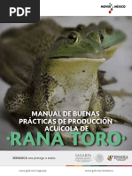  Manual Producci n de Rana Toro