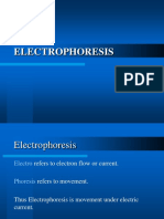 Electrophoresis Diff Types