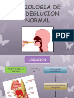 Fisiologiadeladeglucionseminorto 130605141608 Phpapp02