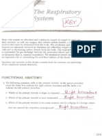 KEY_Respiratory System Review