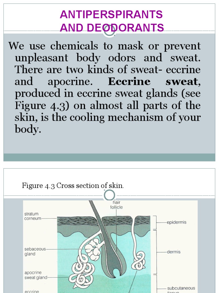 Understanding the Science Behind Antiperspirants and Deodorants PDF