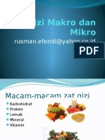 2-zat-gizi-makro-dan-mikro (1).pptx