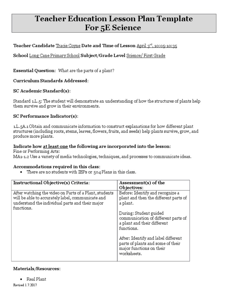 Lesson Plan 4 | PDF | Plants | Lesson Plan