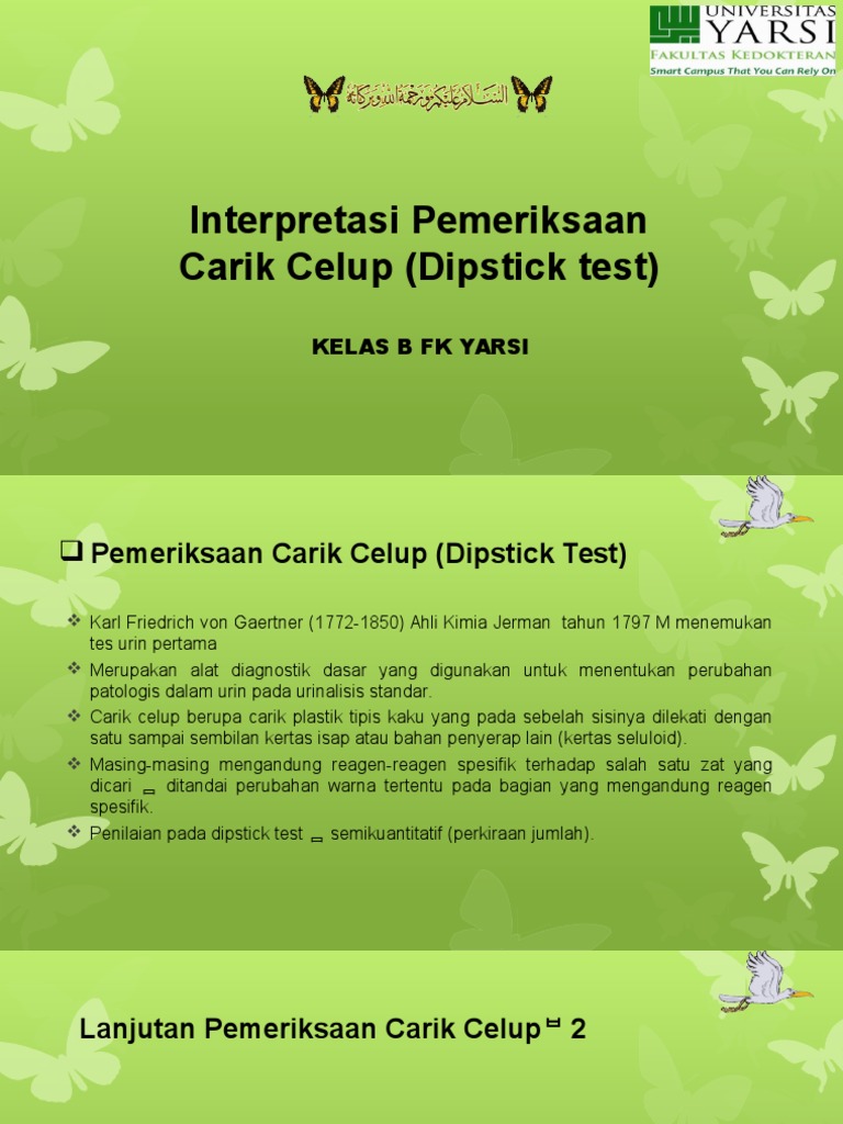 Dipstick Test PDF