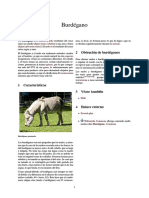 Burdégano: híbrido de caballo y burro