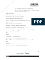 Formato de Capacidad Financiera y Organizacional 0 0