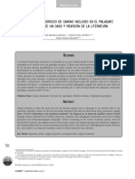 Dialnet-EnfoqueQuirurgicoDeCaninoIncluidoEnElPaladar-4788140.pdf