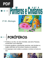 apresentao-100920220041-phpapp01