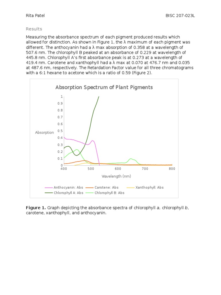 Absorption Spectrum of Plant Pigments PDF Chlorophyll Pigment