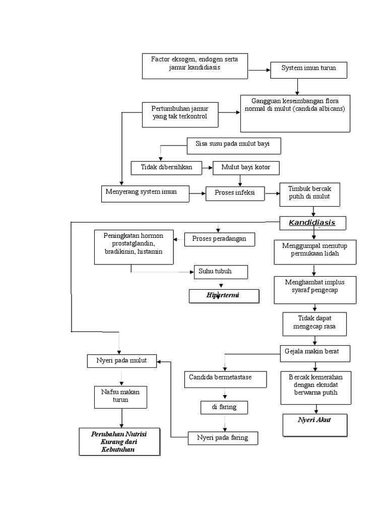 Pathway Kandidiasis | PDF