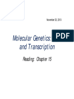 Molecular Genetics: RNA and Transcription: Reading: Chapter 15