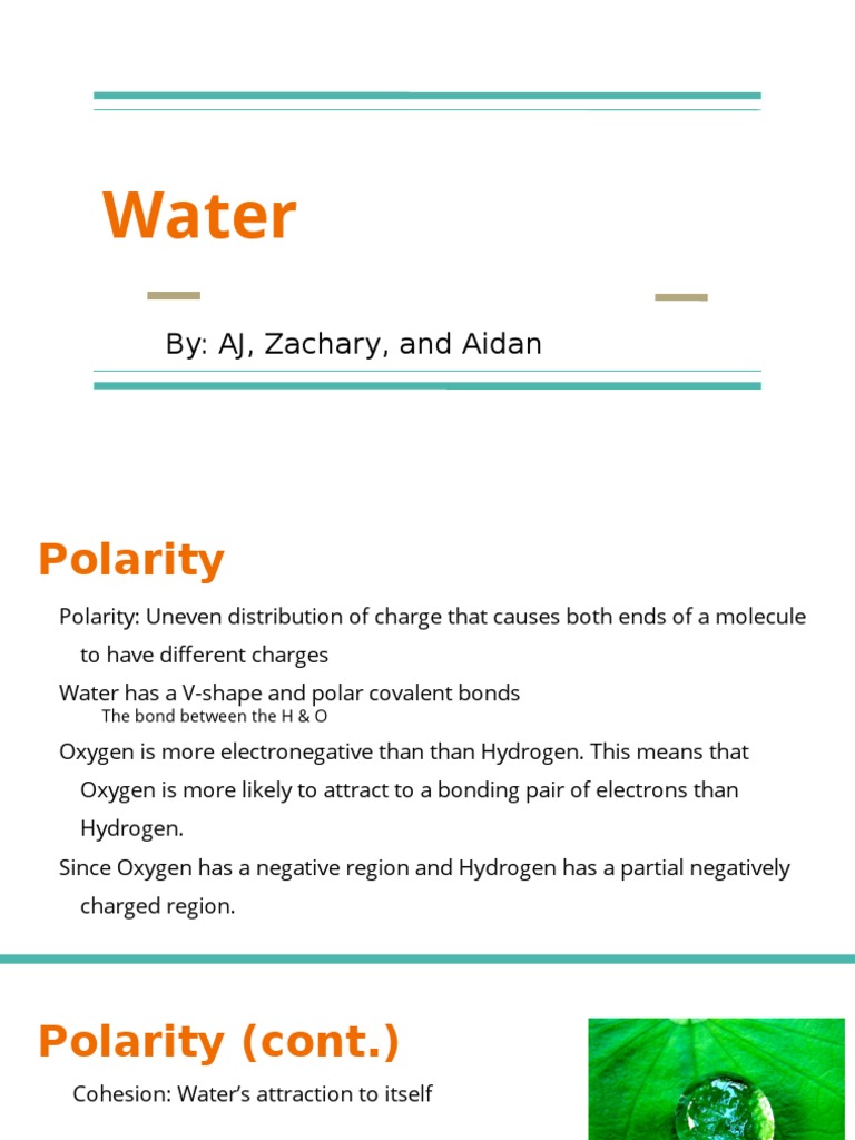 Water | PDF