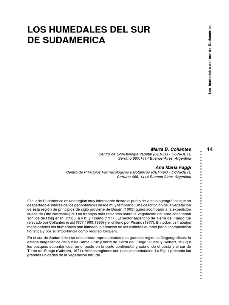 Humedales Del Sur Sudamerica PDF PDF Pantano Clima