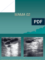 MAMA 02.pdf