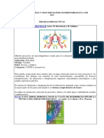 PRUEBAS_PROYECTIVAS.pdf