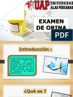 Expo Examen de Orina