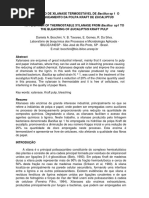 Xilanase Pre Branqueamento