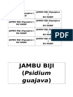 Jambu Biji