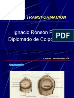 Zona de Transfrmación.pptx