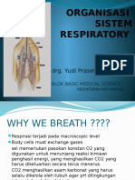 Respiratory System Slide