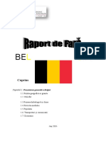documents.tips_raport-de-tara-belgia.doc