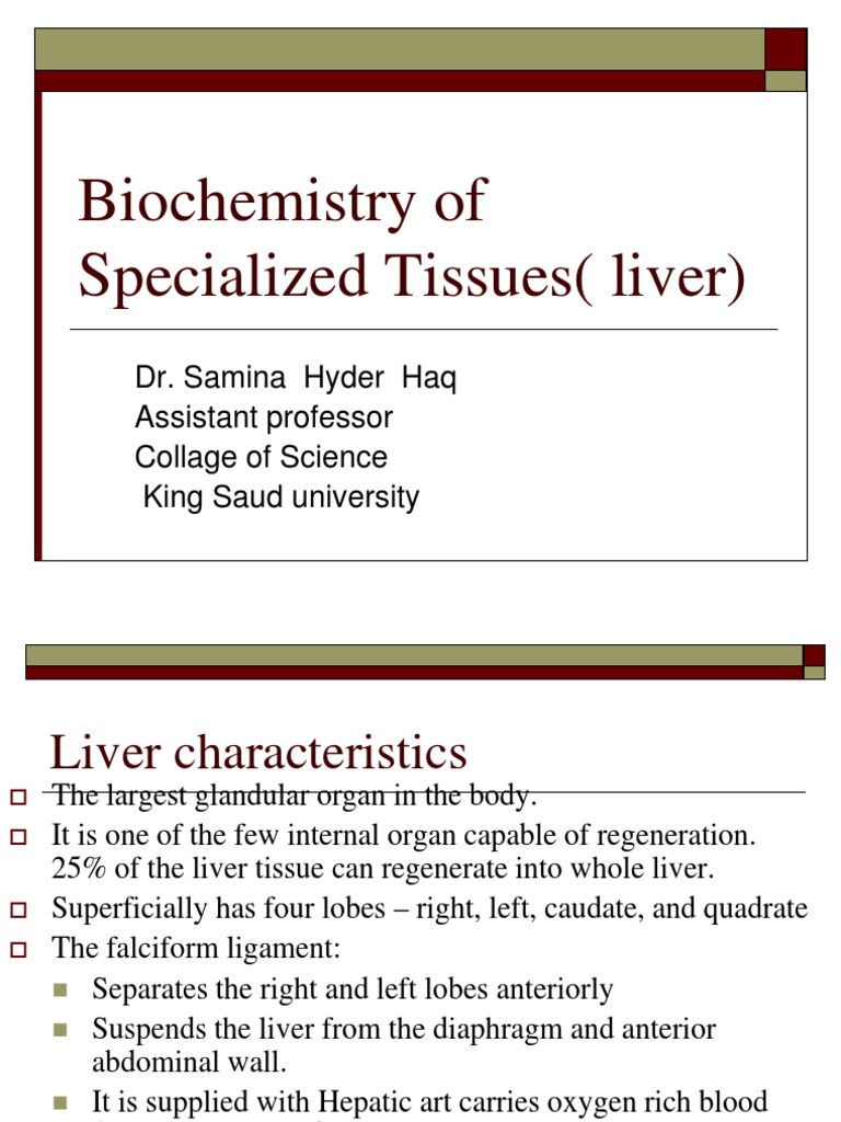 Biochemistry of Liver Functions | PDF | Liver | Bile