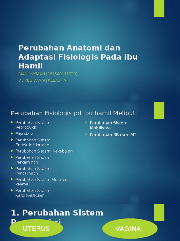 Ke 3 Perubahan Anatomi Adaptasi Fisiologis Pada Ibu Hamil