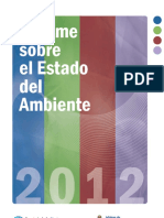 InformeSAyDS2012.pdf