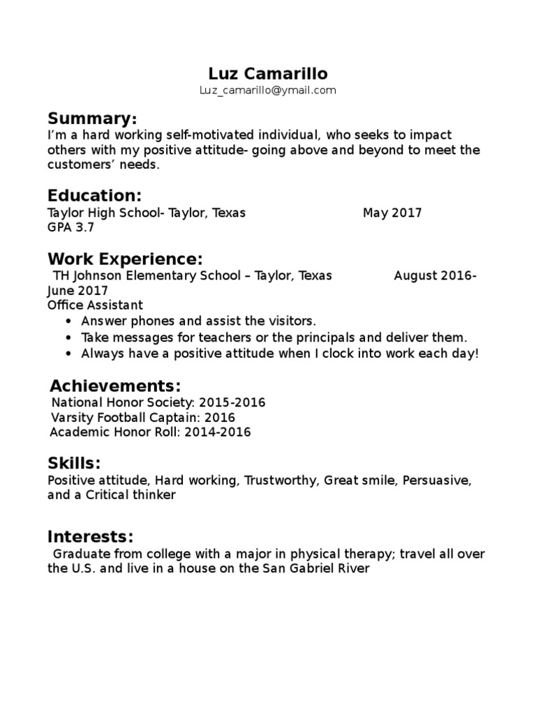 Fake Resume PDF