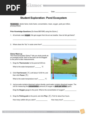 Pondecosystemse Photosynthesis Ecosystem