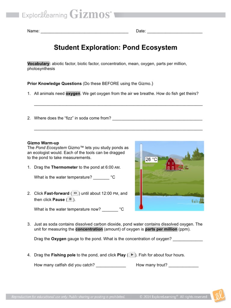 Pondecosystemse Photosynthesis Ecosystem