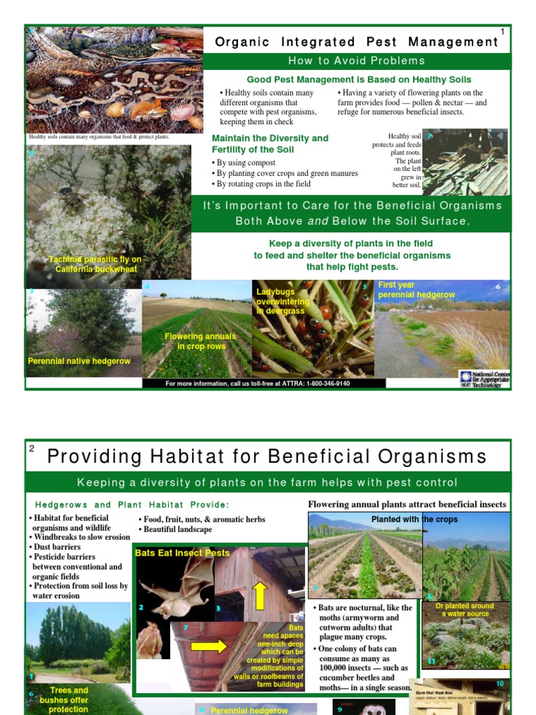 Organic Integrated Pest Management PDF | PDF | Insects | Crop Rotation
