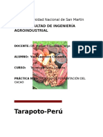 192837942-PROCESO-DE-FERMENTACION-DEL-CACAO-Theobroma-cacao-docx.docx