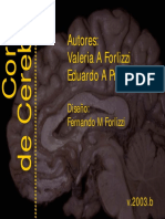 Cortes Anatomicos de Cerebro