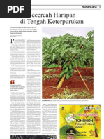 Download Pepaya Organik SPI Cabang Sukabumi by Serikat Petani Indonesia SN34578243 doc pdf