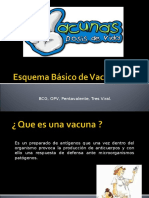 Esquema Básico de Vacunación