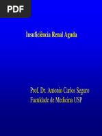 Antônio+Carlos+Insuficiência+Renal+Aguda.pdf
