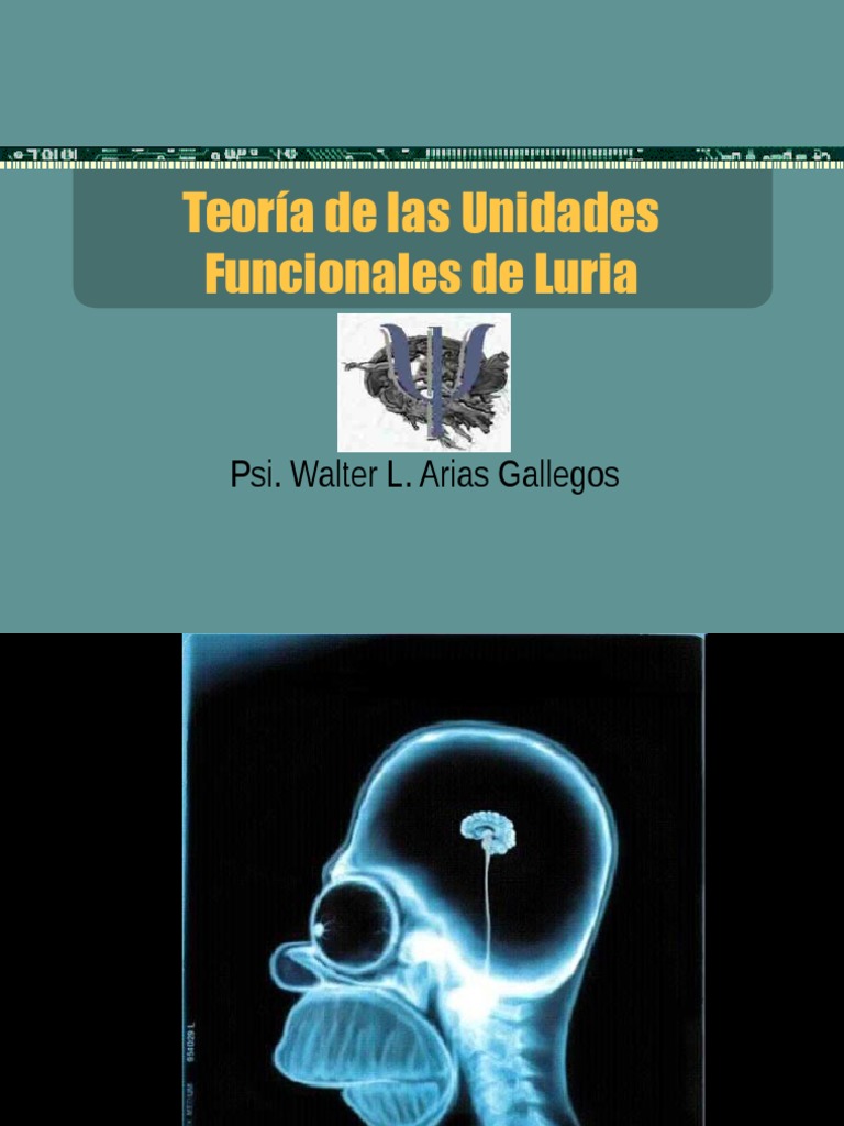 Teoria de Las Unidades Funcionales de Luria | PDF | Corteza cerebral ...