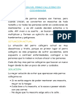 Situacion Del Perro Callejero en Cochabamba