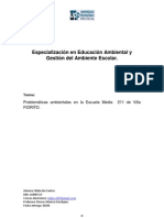 Problematicas Ambientales en La Escuela Media 211 Villa Fiorito