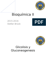 Bioquímica II - Clase 2 Glicolisis y Gluconeogenesis - Kopie