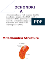 Mitochondria Presentation-Mahmoud M. Ibai
