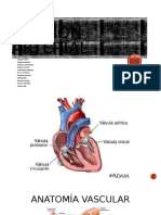 Presión Arterial 