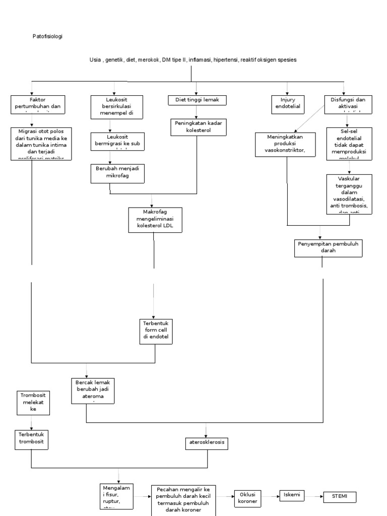 Patofisiologi STEMI dan Aterosklerosis | PDF