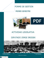 Informe de Gestión Diputado Jorge Srodek 2010